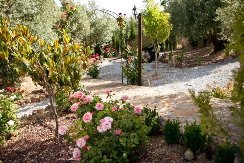 Casas Rurales Cazorla-Alcon Pozo Alcón Rum bild