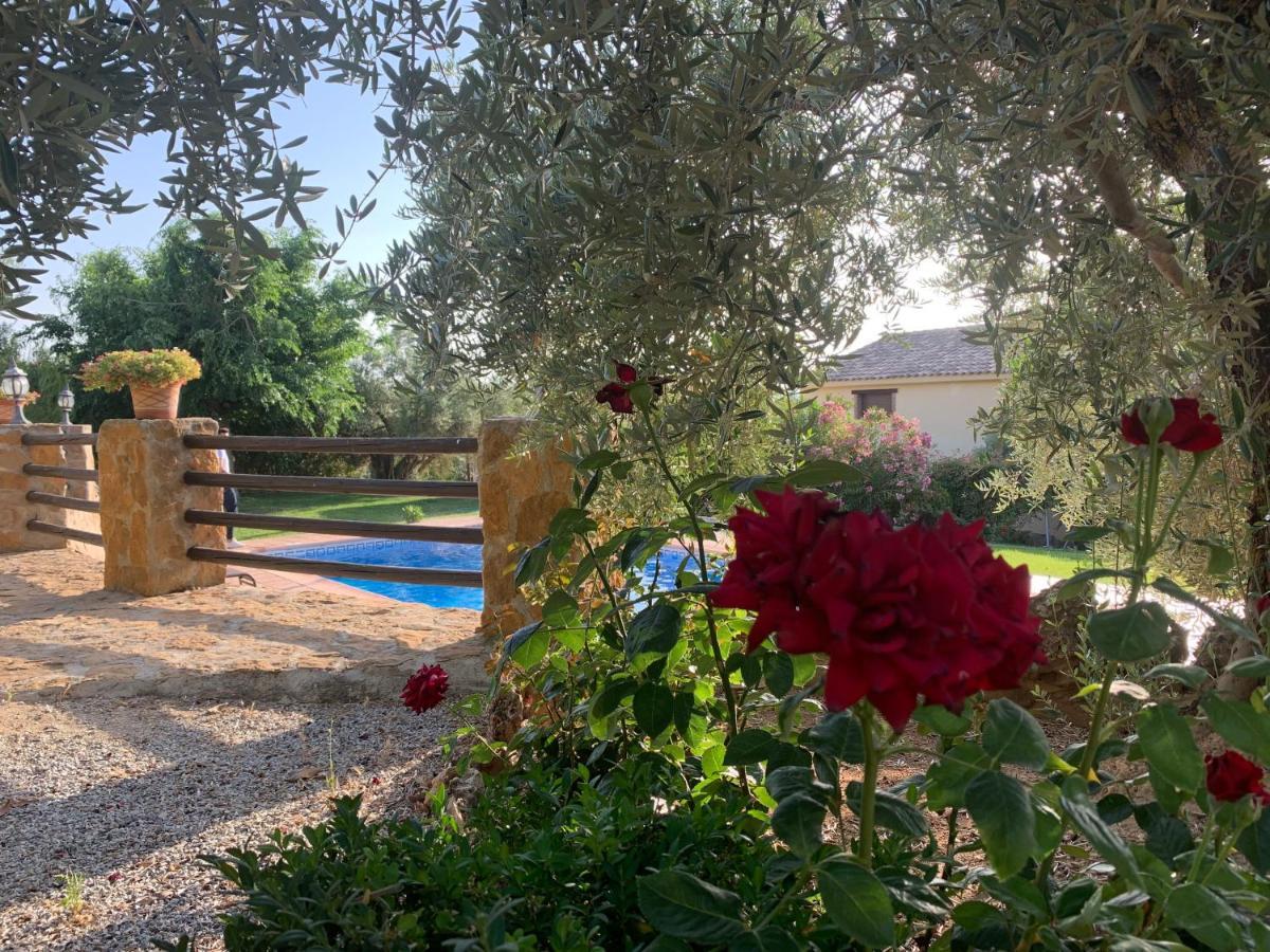 Casas Rurales Cazorla-Alcon Pozo Alcón Exteriör bild